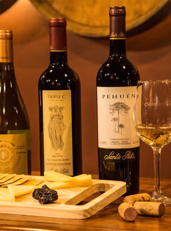 cata-vino-maridada-queso